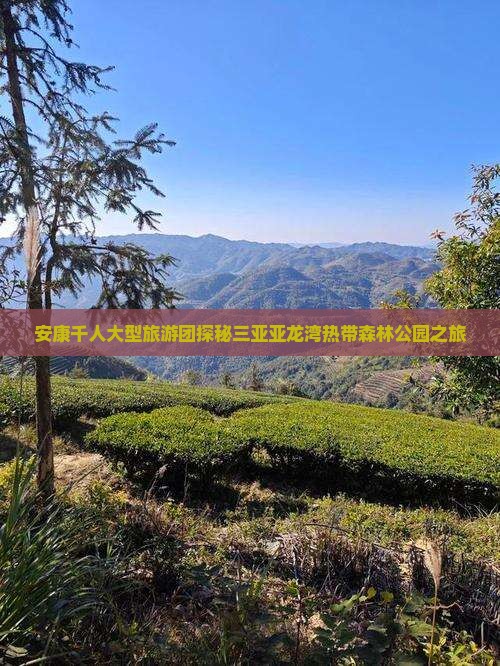 安康千人大型旅游团探秘三亚亚龙湾热带森林公园之旅