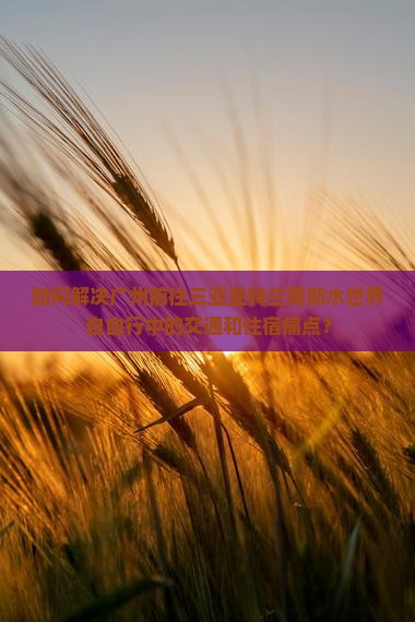 如何解决广州前往三亚亚特兰蒂斯水世界自由行中的交通和住宿痛点？
