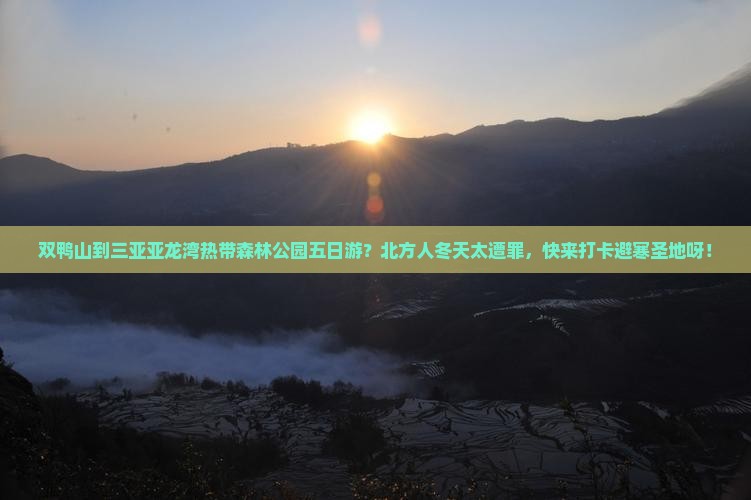 双鸭山到三亚亚龙湾热带森林公园五日游？北方人冬天太遭罪，快来打卡避寒圣地呀！