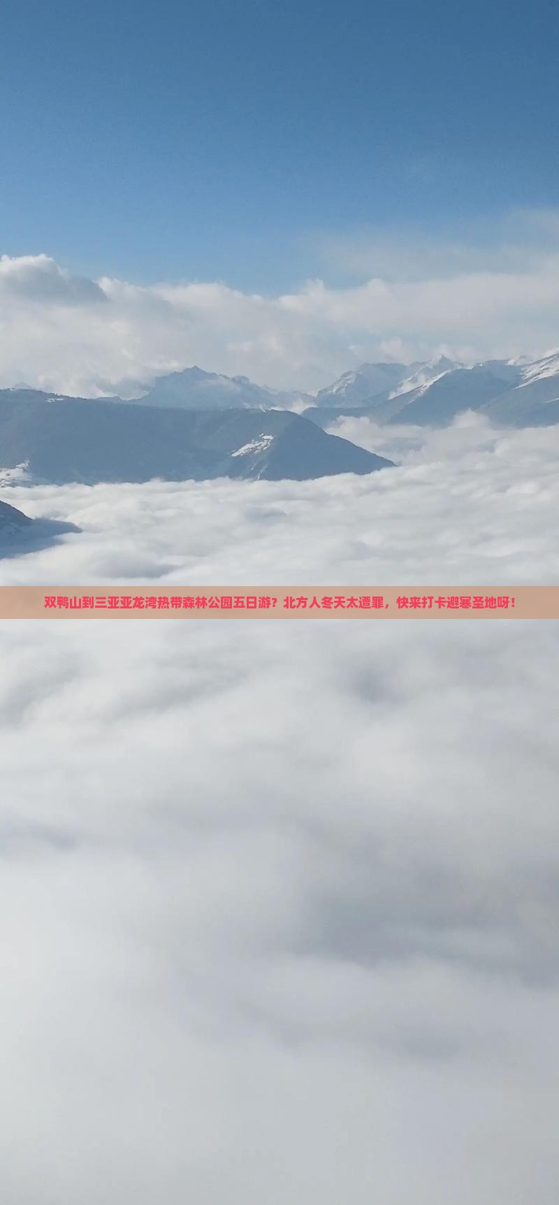 双鸭山到三亚亚龙湾热带森林公园五日游？北方人冬天太遭罪，快来打卡避寒圣地呀！