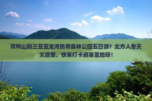双鸭山到三亚亚龙湾热带森林公园五日游？北方人冬天太遭罪，快来打卡避寒圣地呀！