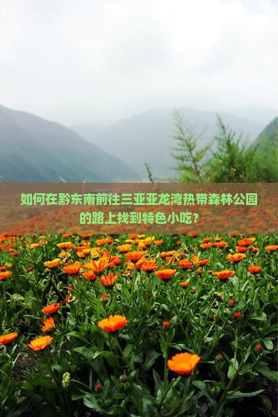 如何在黔东南前往三亚亚龙湾热带森林公园的路上找到特色小吃？