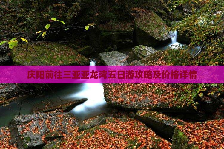庆阳前往三亚亚龙湾五日游攻略及价格详情