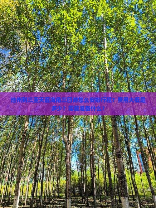 池州到三亚天涯海角三日游怎么安排行程？费用大概是多少？需要准备什么？