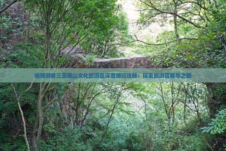 临猗游客三亚南山文化旅游区深度游玩攻略：探索旅游区精华之旅