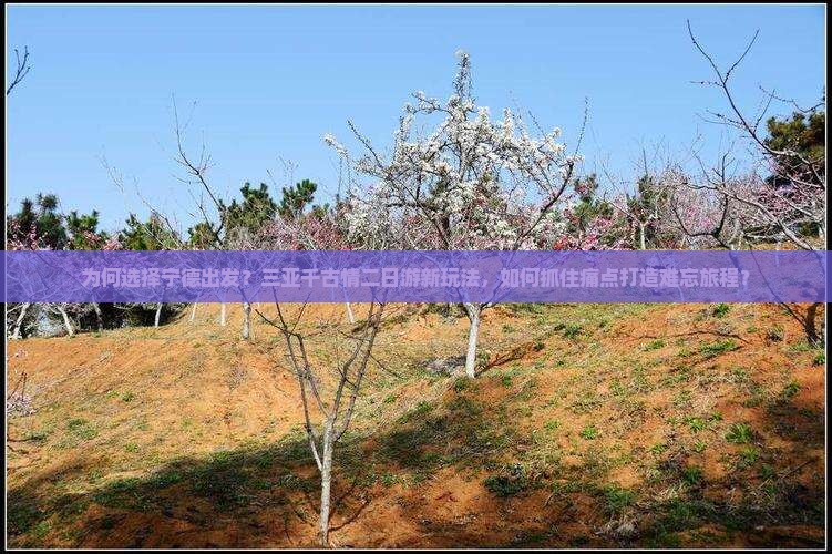 为何选择宁德出发？三亚千古情二日游新玩法，如何抓住痛点打造难忘旅程？