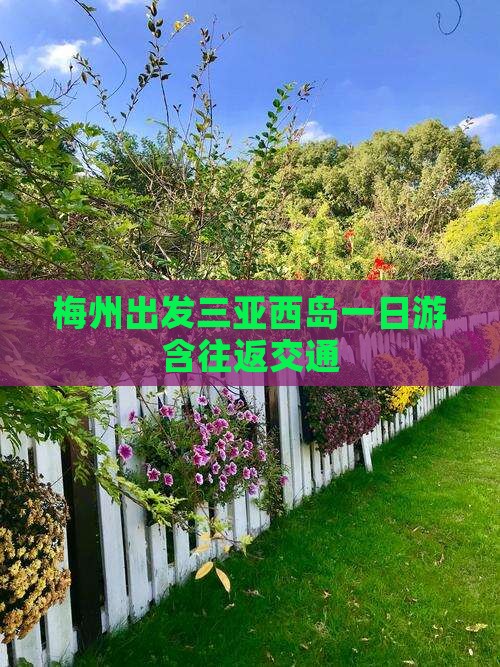梅州出发三亚西岛一日游含往返交通