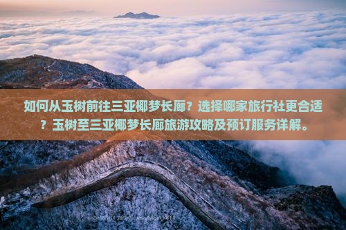 如何从玉树前往三亚椰梦长廊？选择哪家旅行社更合适？玉树至三亚椰梦长廊旅游攻略及预订服务详解。