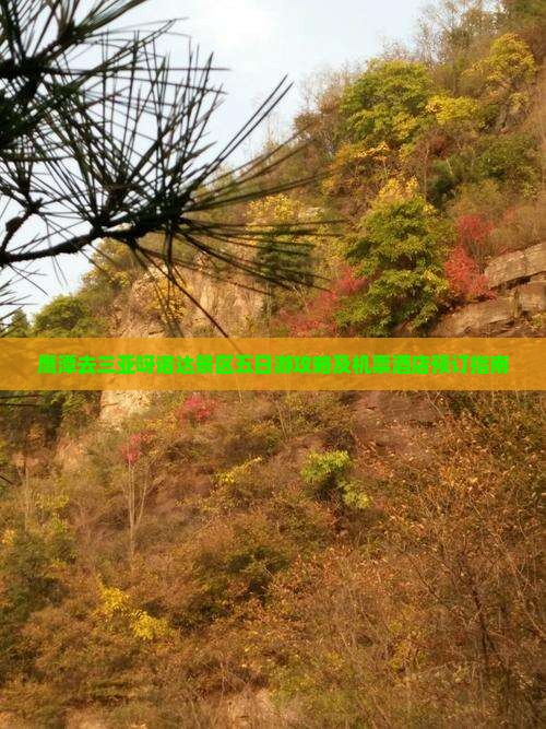 鹰潭去三亚呀诺达景区五日游攻略及机票酒店预订指南