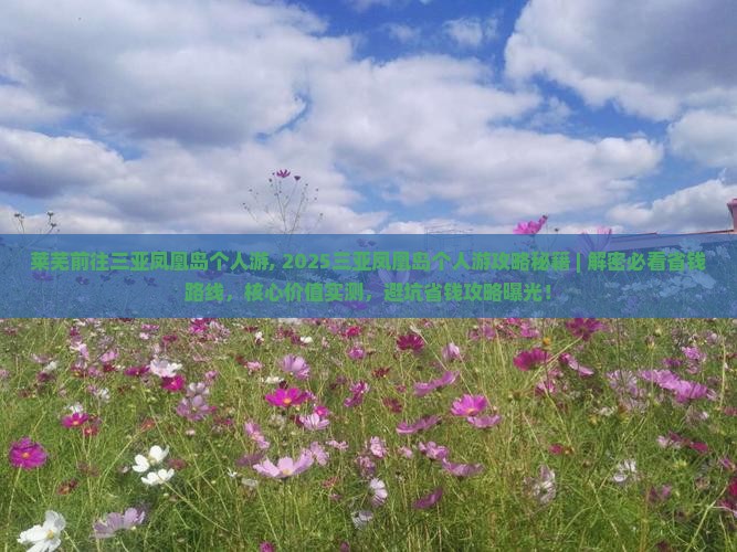 莱芜前往三亚凤凰岛个人游