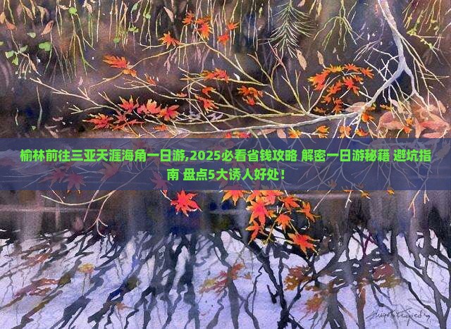 榆林前往三亚天涯海角一日游