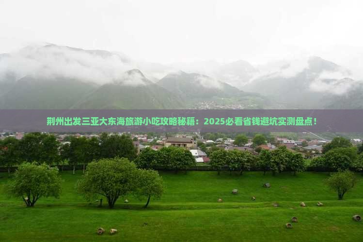 荆州出发三亚大东海旅游小吃