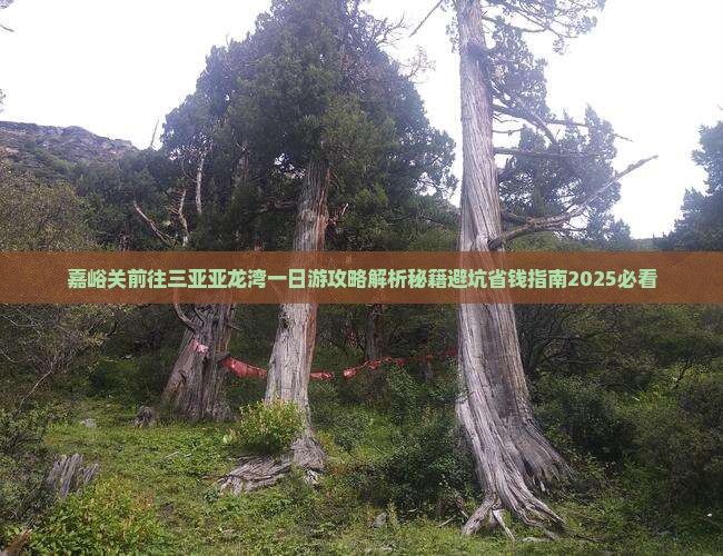 嘉峪关前往三亚亚龙湾一日游