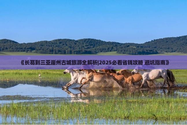 长葛出发三亚崖洲古城个人游