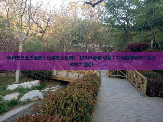 锦州去三亚三亚湾七日游