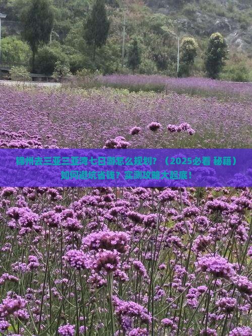 锦州去三亚三亚湾七日游