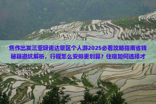 焦作出发三亚呀诺达景区个人游