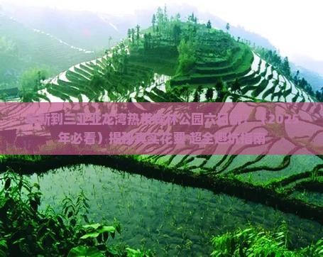 阜新去三亚亚龙湾热带森林公园六日游