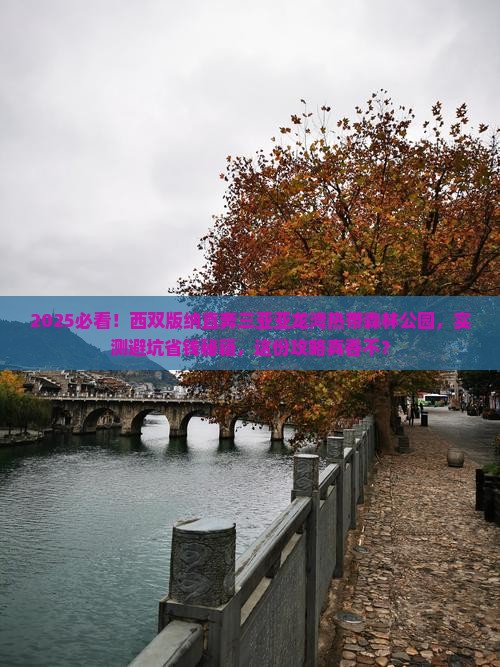西双版纳去三亚亚龙湾热带森林公园个人游