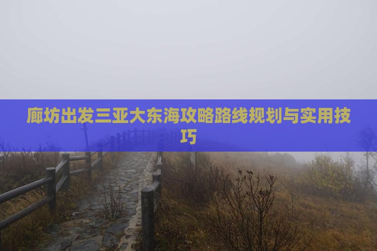 廊坊出发三亚大东海攻略