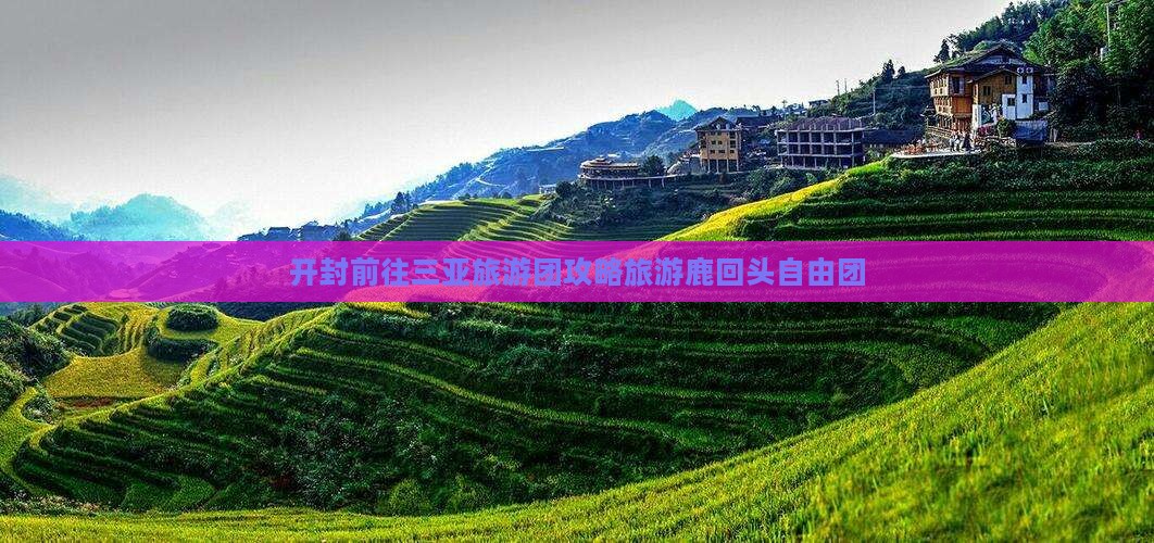 开封前往三亚鹿回头自由团