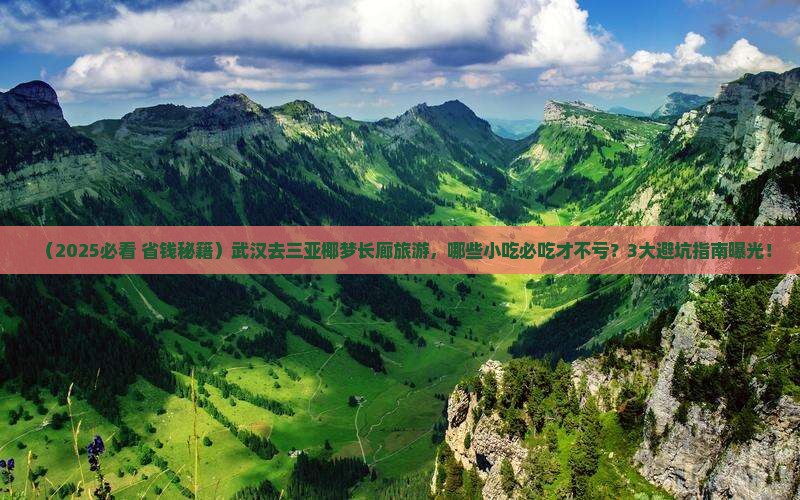 武汉前往三亚椰梦长廊旅游小吃 武汉前往三亚椰梦长廊旅游小吃