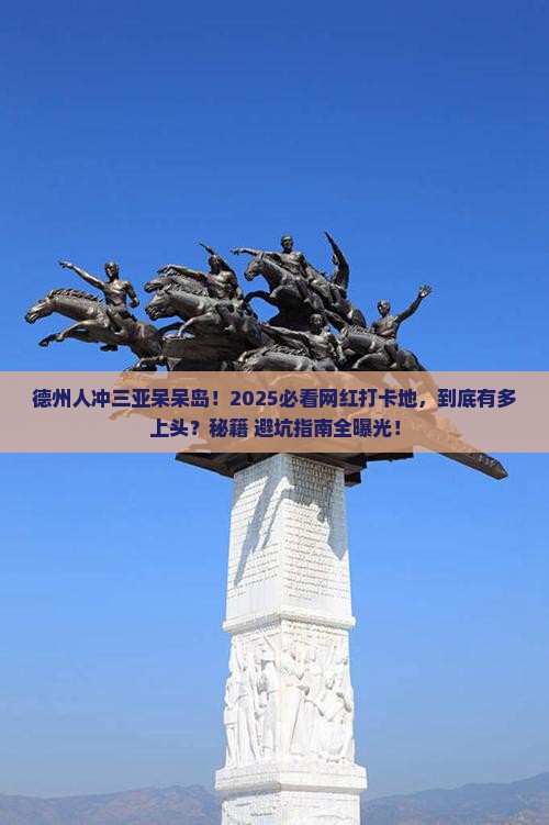 德州去三亚呆呆岛旅游网红地点