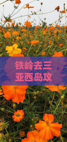 铁岭去三亚西岛攻略