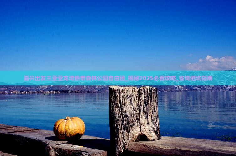 嘉兴出发三亚亚龙湾热带森林公园自由团
