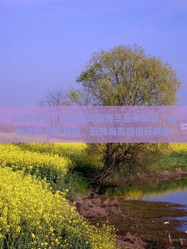 深圳前往三亚呆呆岛自由行