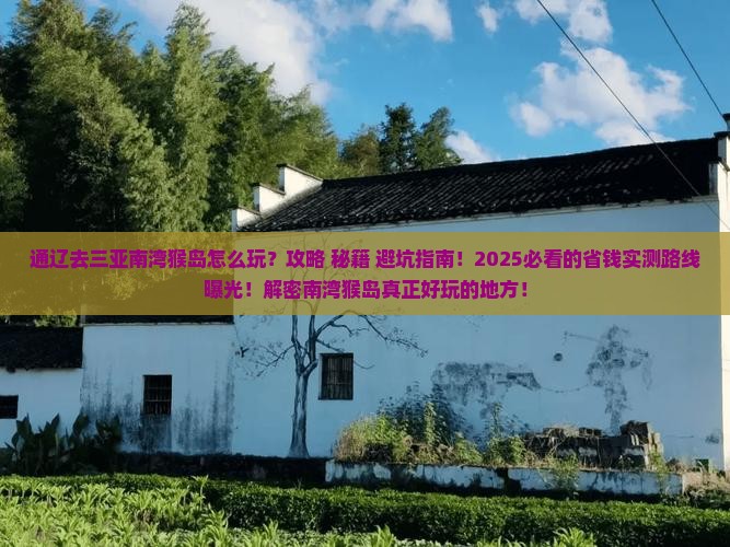 通辽去三亚南湾猴岛必玩地