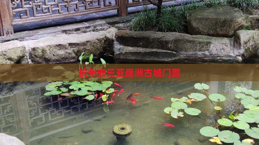 杭州去三亚崖洲古城门票