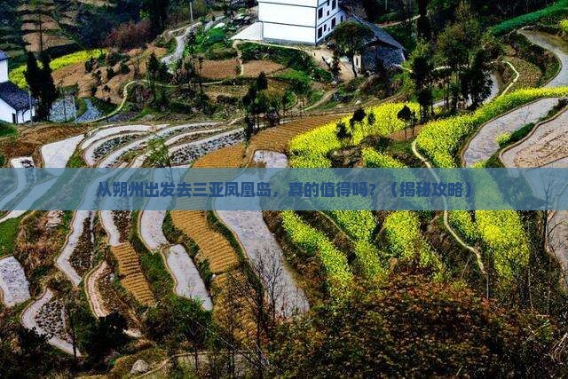 朔州出发三亚凤凰岛旅游
