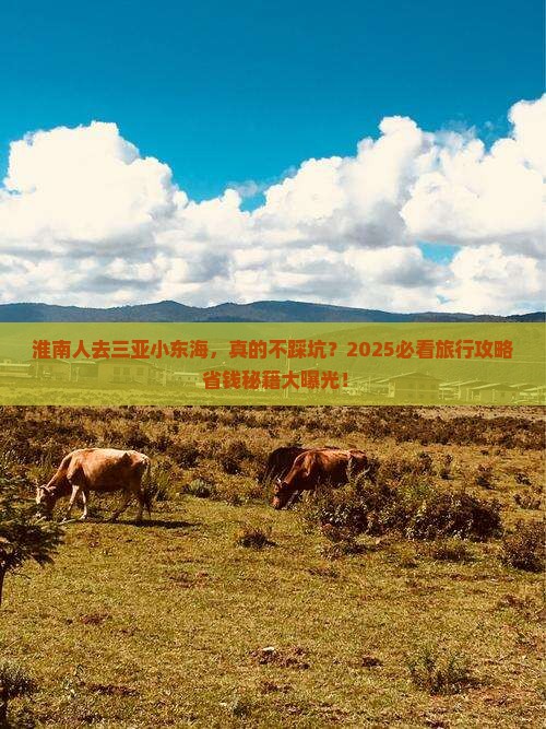 淮南去三亚小东海旅行社