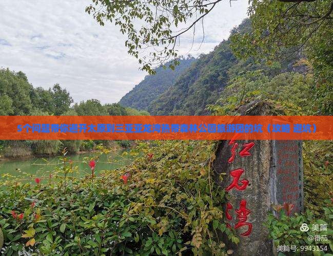 太原前往三亚亚龙湾热带森林公园大型旅游团