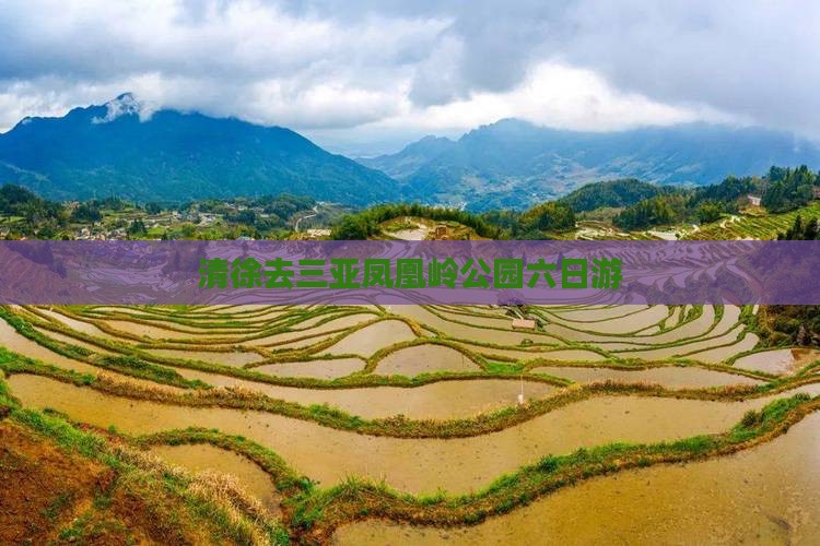 清徐去三亚凤凰岭公园六日游