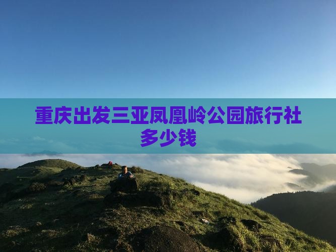 重庆出发三亚凤凰岭公园旅行社