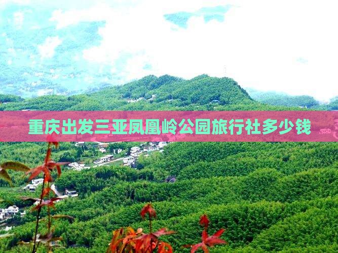 重庆出发三亚凤凰岭公园旅行社