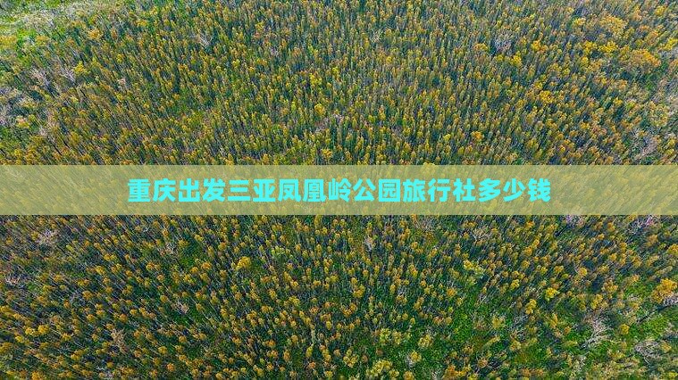 重庆出发三亚凤凰岭公园旅行社