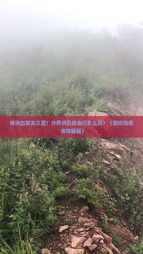 株洲出发三亚分界洲岛自由行