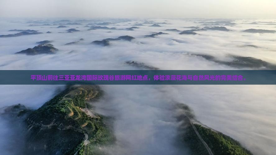 平顶山前往三亚亚龙湾国际玫瑰谷旅游网红地点