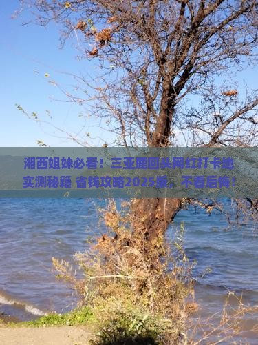 湘西出发三亚鹿回头旅游网红地点