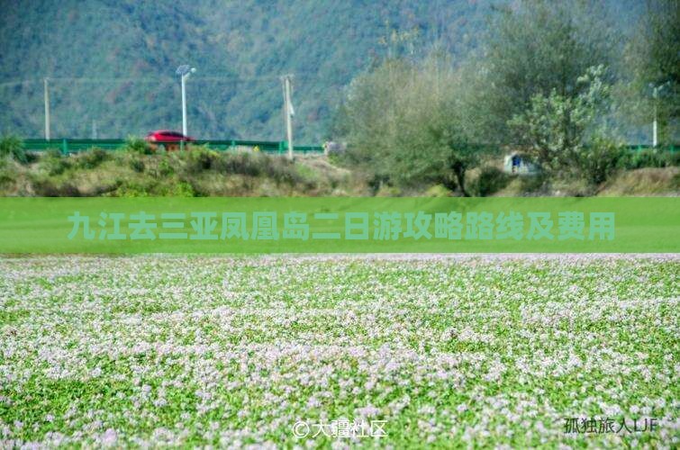 九江去三亚凤凰岛二日游