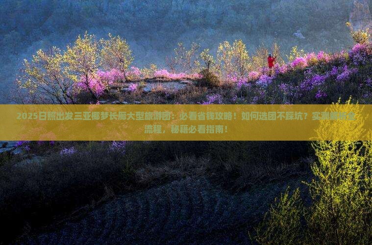 日照出发三亚椰梦长廊大型旅游团
