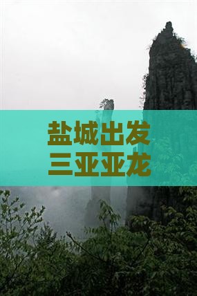 盐城出发三亚亚龙湾国际玫瑰谷二日游