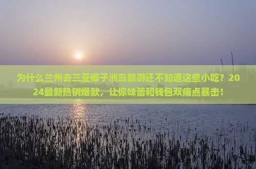 兰州去三亚椰子洲岛旅游小吃