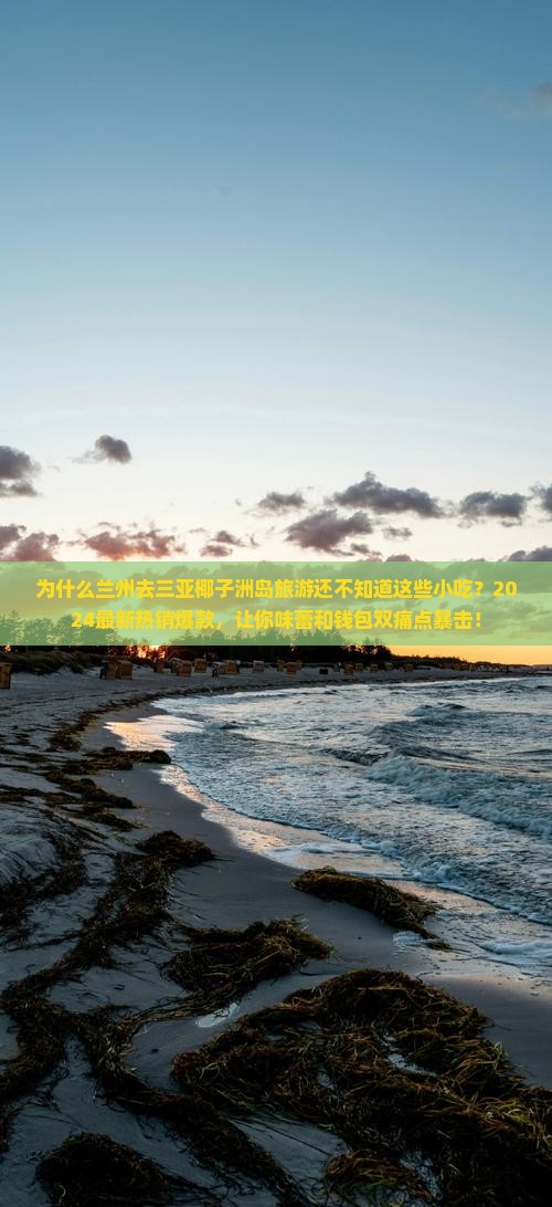 兰州去三亚椰子洲岛旅游小吃