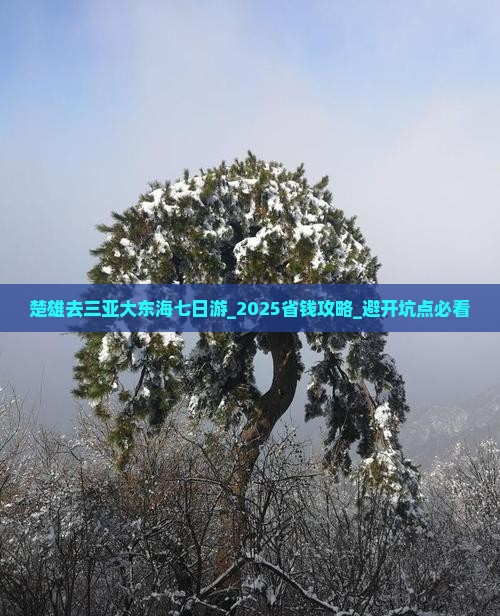 楚雄去三亚大东海七日游