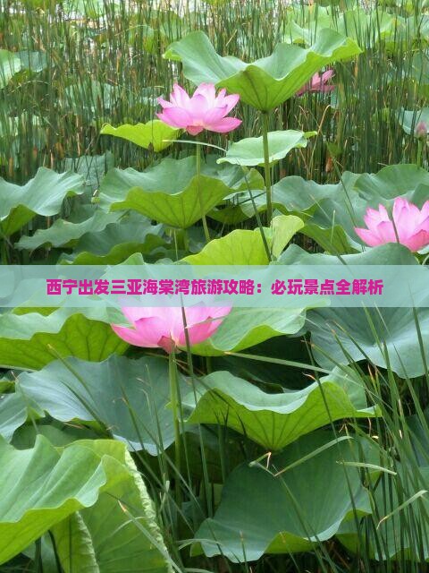 西宁出发三亚海棠湾哪里玩