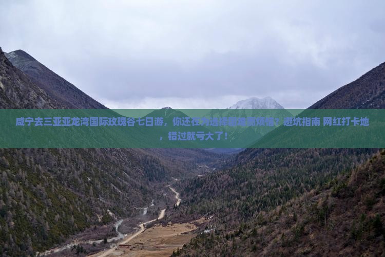 咸宁去三亚亚龙湾国际玫瑰谷七日游